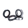 Kit roulements de roue Race Series Factory Links - Honda CR 250 R