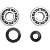 Kit roulements et joints de vilebrequin ProX aux spécifications OEM - Yamaha YZ 250