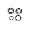 Kit roulements et joints de vilebrequin ProX aux spécifications OEM - KTM SX 50 et KTM SX 50 MINI