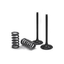 Kit soupape et ressort d'échappement ProX, acier nitruré - KTM EXC-F 250